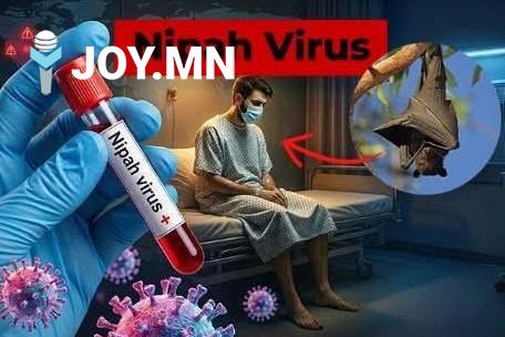NIPAH ВИРУСЭЭС СЭРГИЙЛЖ БНХАУ ЦАГААН САРЫН ӨМНӨ ХЯНАЛТАА ЧАНГАТГАЛАА