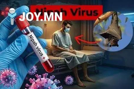 NIPAH ВИРУСЭЭС СЭРГИЙЛЖ БНХАУ ЦАГААН САРЫН ӨМНӨ ХЯНАЛТАА ЧАНГАТГАЛАА